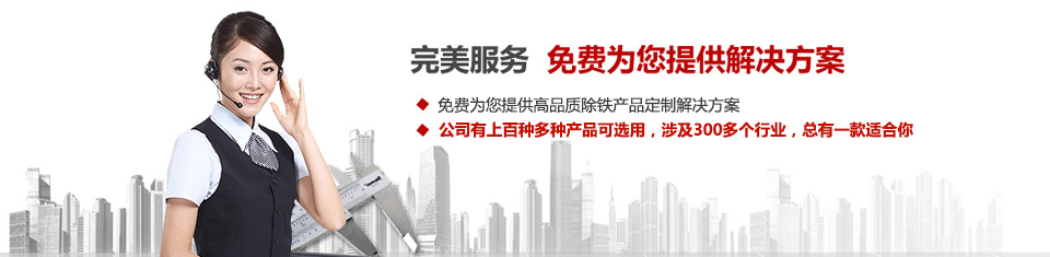 远力磁电，专注悟空WUKONG(中国)和除铁器设备的设计、生产及销售