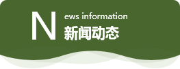 悟空官网首页